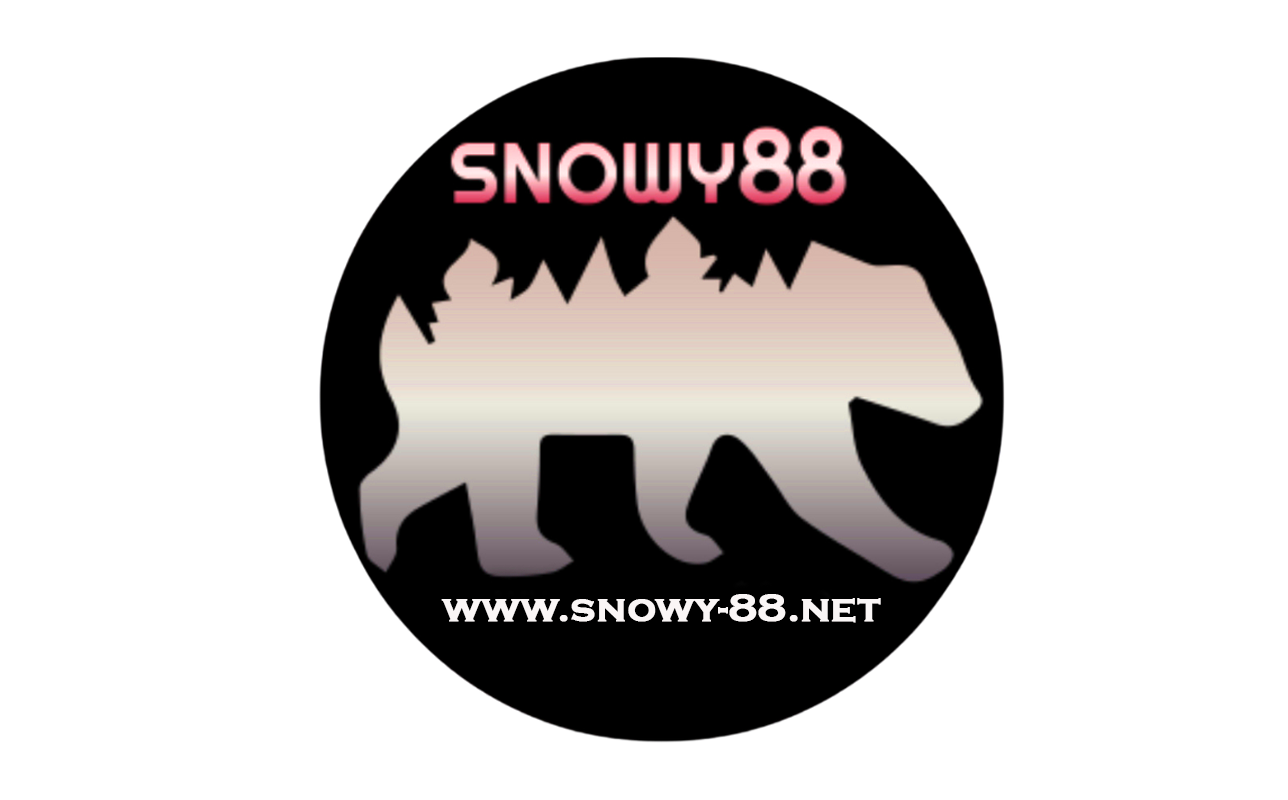 snowy-88.net